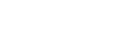 Wiener Volkspartei Logo